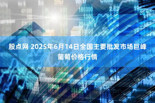 股点网 2025年6月14日全国主要批发市场巨峰葡萄价格行情