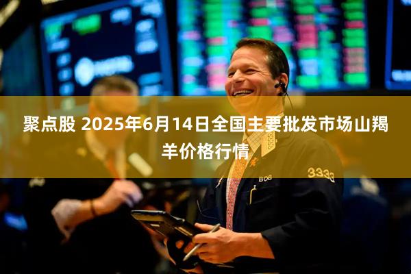 聚点股 2025年6月14日全国主要批发市场山羯羊价格行情