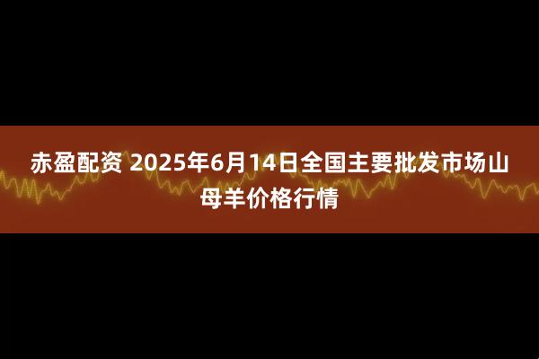 赤盈配资 2025年6月14日全国主要批发市场山母羊价格行情