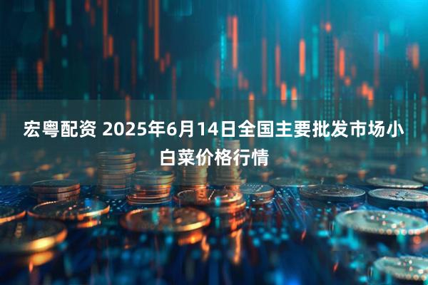 宏粤配资 2025年6月14日全国主要批发市场小白菜价格行情