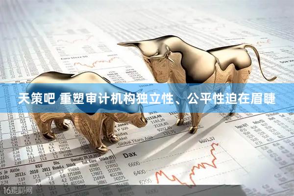 天策吧 重塑审计机构独立性、公平性迫在眉睫